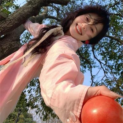 黑眉蚊